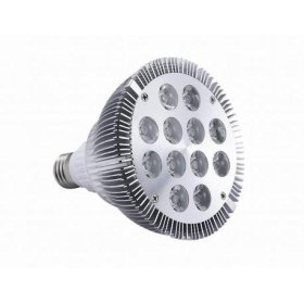 12W High Power LED Grow Light red and blue 10:2
